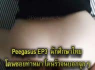 Peegasus EP3
